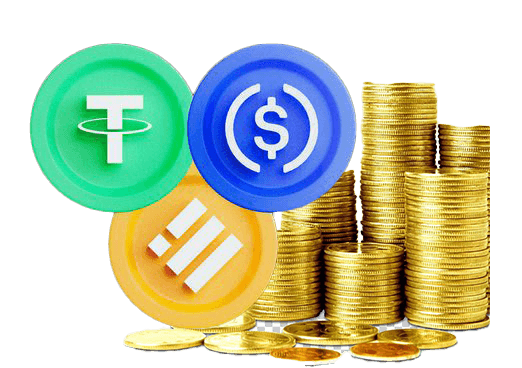 Stablecoin Payment